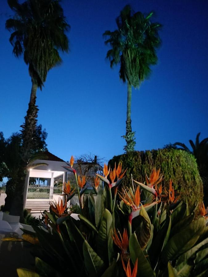 Villaer Serenade Luxury *